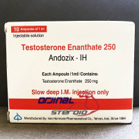 Andozix Testosterone Enanthate 250mg 10 Ampul