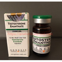 Genesis Meds Testosteron Enanthate 250mg 10ml